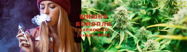 дживик Абаза