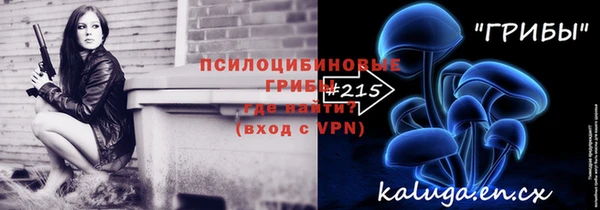 дживик Абаза