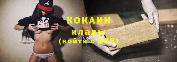 дживик Абаза
